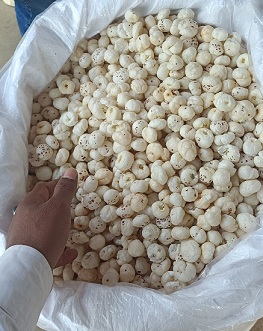 Export Makhana