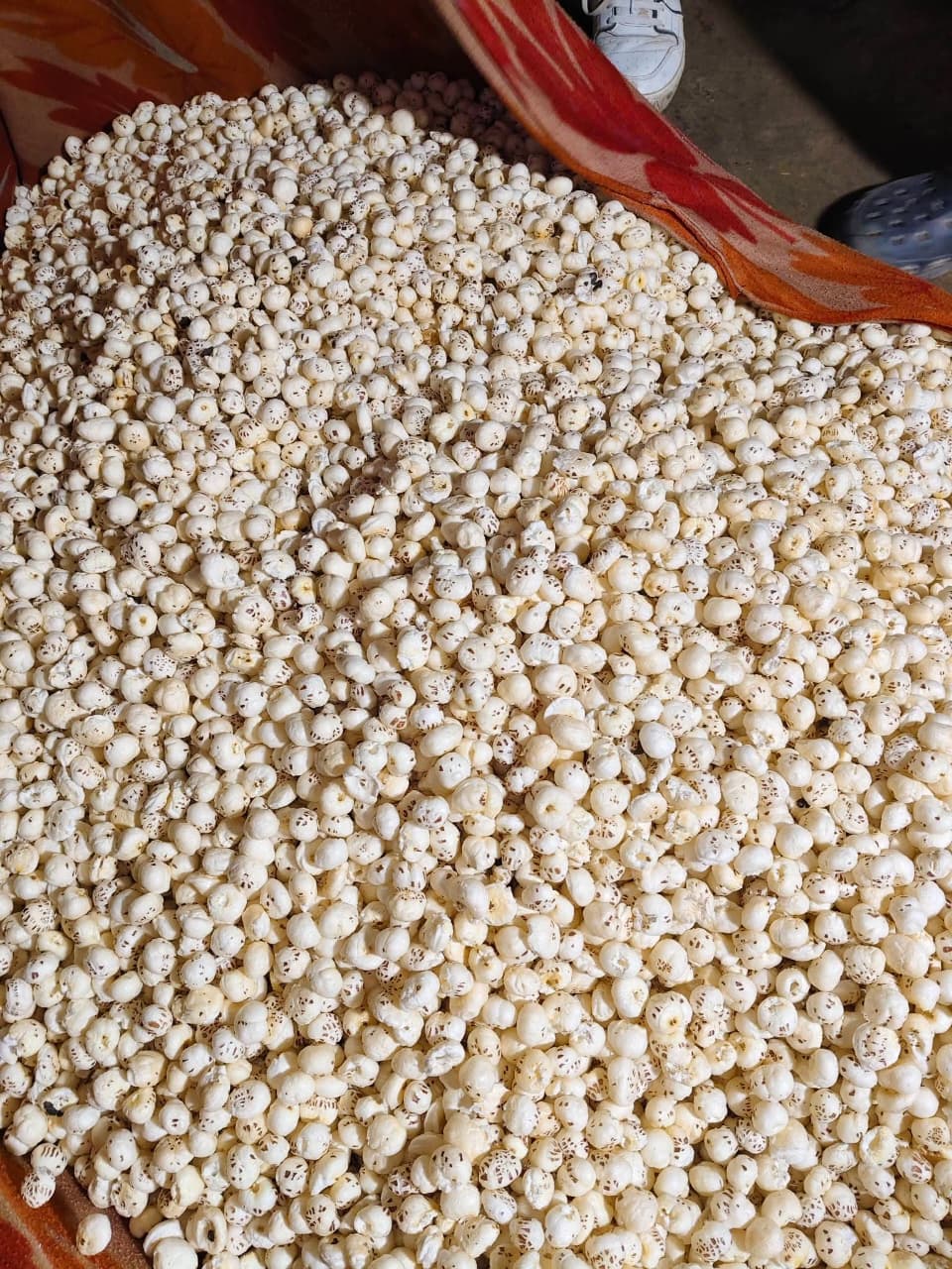 5+ HP Makhana